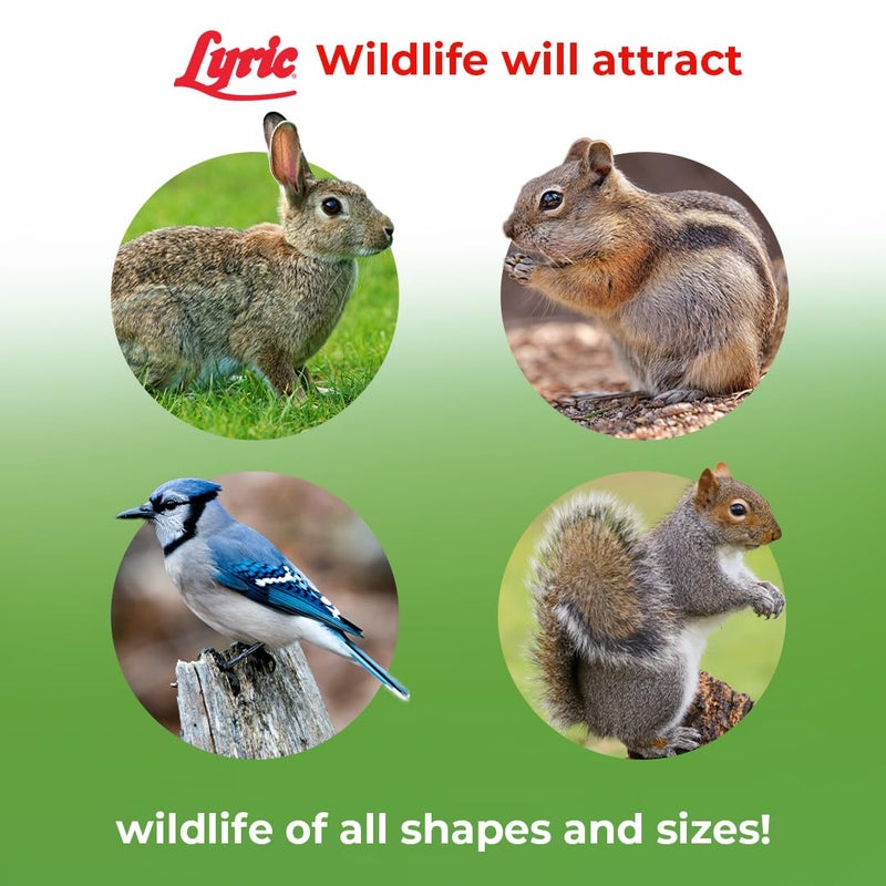Lyric Wildlife Critter Food for Deer, Squirrels, Turkeys & Rabbits, Wild Bird Seed for Outside Feeders, 10 lb Bag - Image 4